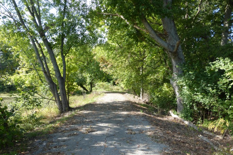 This shady lane (stagnant pond to the left) leads to the old Aydelott-Rosenberger house.  Along the way, there are remnants of several other out-buildings, the foundations and sometimes building materials of which are still visible along the path.